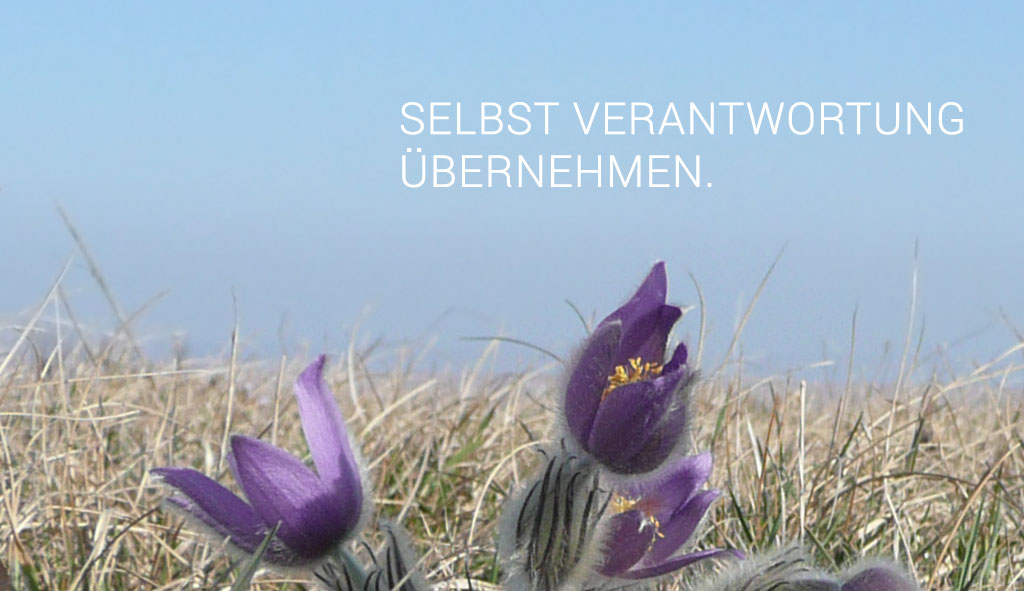 Umwelt
